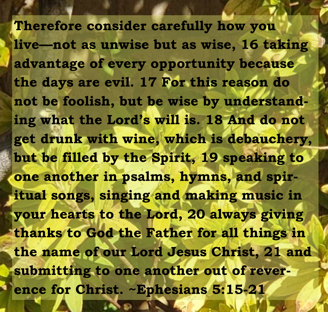 15 Therefore consider carefully how you live—not as unwise but as wise, 16 taking advantage of every opportunity because the days are evil. 17 For this reason do not be foolish, but be wise by understanding what the Lord’s will is. 18 And do not get drunk with wine, which is debauchery, but be filled by the Spirit, 19 speaking to one another in psalms, hymns, and spiritual songs, singing and making music in your hearts to the Lord, 20 always giving thanks to God the Father for all things in the name of our Lord Jesus Christ, 21 and submitting to one another out of reverence for Christ. Ephesians 5:15-21