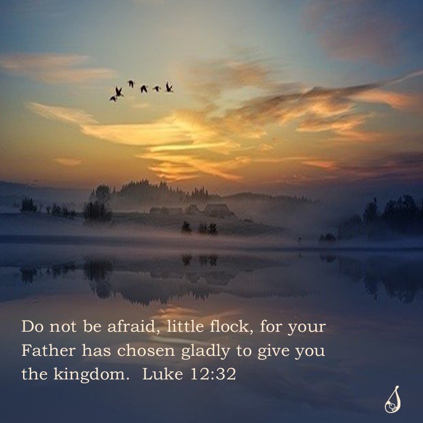 Do not be afraid, little flock, for your Father has chosen gladly to give you the kingdom.